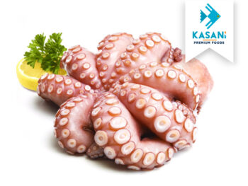 Pulpo Entero Limpio - Kasani