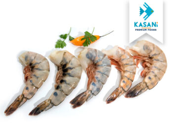 Langostino colosal- Kasani premium foods