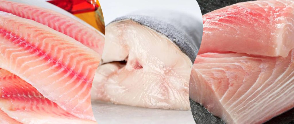 Qu Pescado Es Ideal Para Preparar Ceviche Kasani Fish