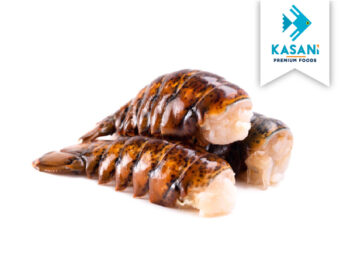 colas de langosta medianas - Kasani premium foods