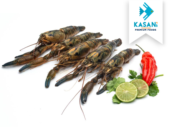 Camarón Jumbo congelado x 1kg