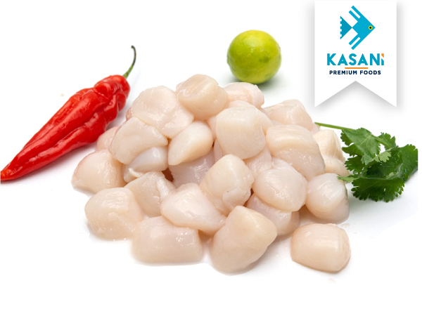 Conchas Limpias sin Coral Medianas x500g