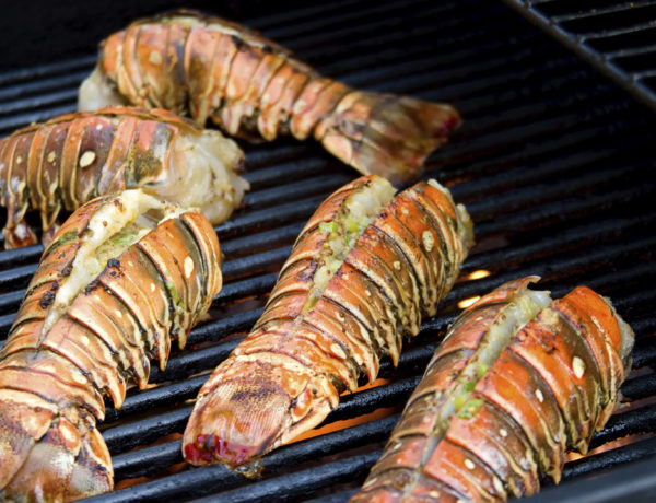 Colas de Langosta Grandes - Vista secundaria